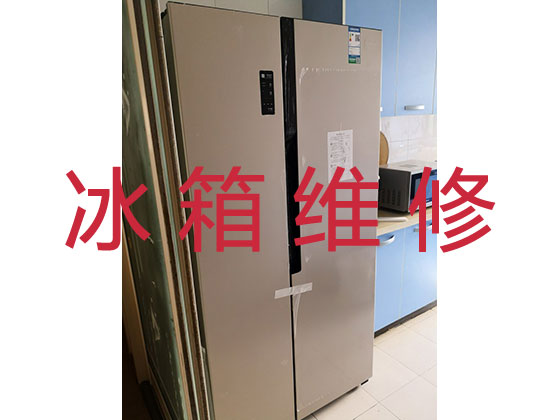 广州专业电冰箱安装